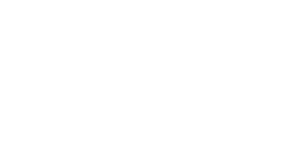 logo-light